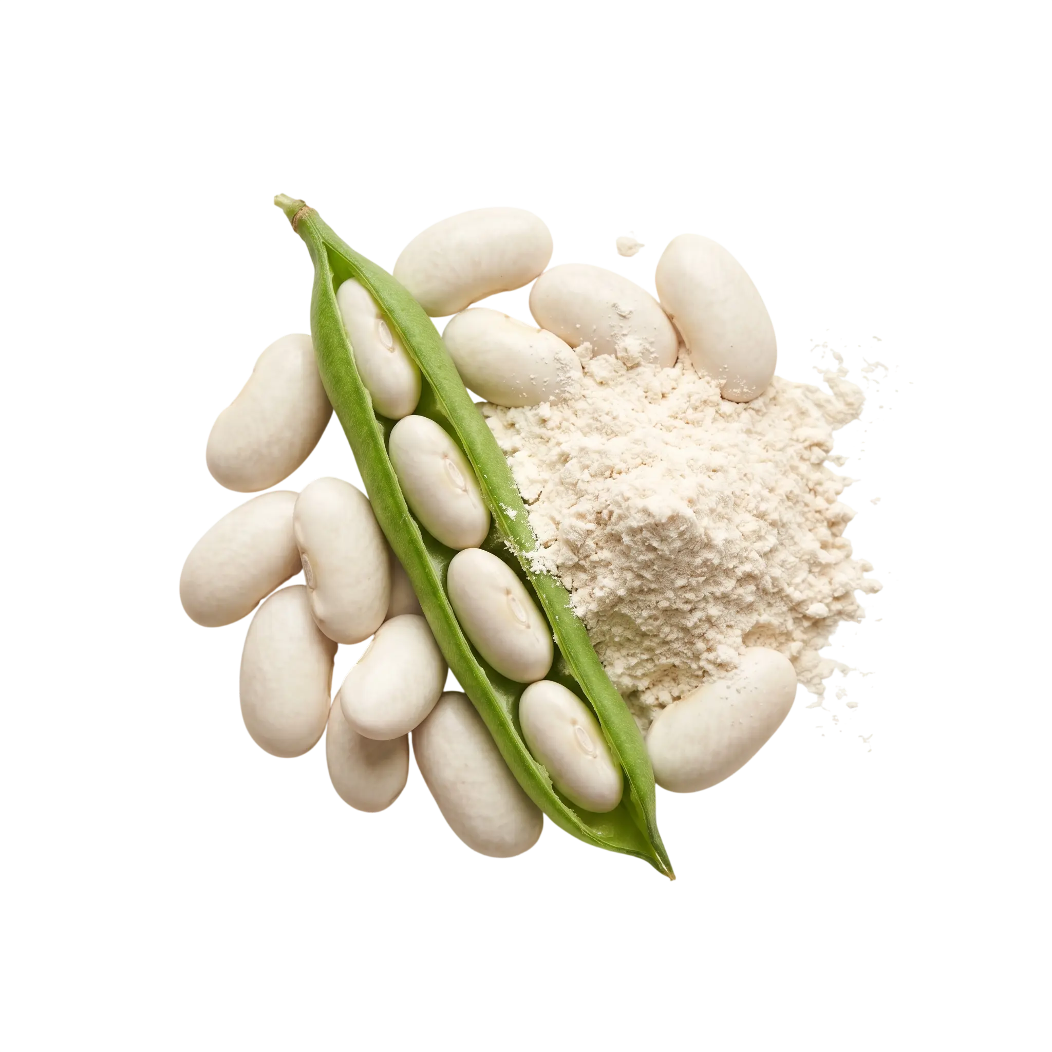 White kidney beans, bean pod, and extracted powder